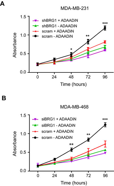 ADAADiN-mediated inhibition of triple negative breast cancer cell proliferation and viability is due to inhibition of BRG1.