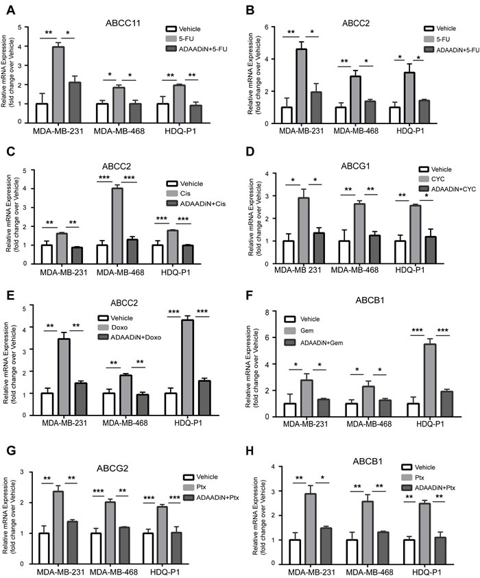 ADAADiN blocked drug-induced ABC transporter gene expression in triple negative breast cancer cell lines.