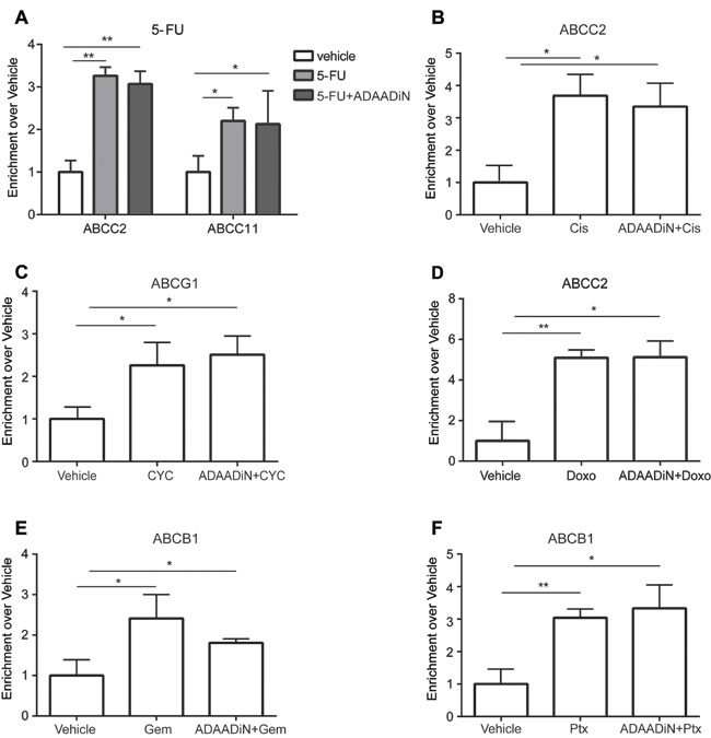 Chemotherapeutic drugs increased BRG1 binding at ABC transporter genes in a manner independent of ADAADiN.