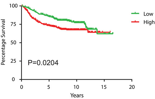 High BRG1 expression levels in breast tumors predicts poor patient prognosis.