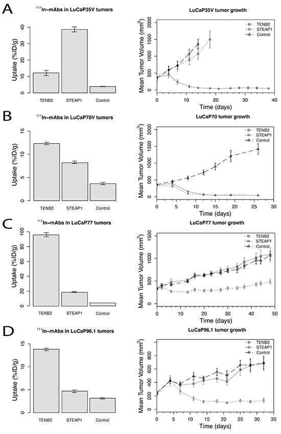 Tumor-tissue uptake of 111In-labeled STEAP1, TENB2, and control (gD) mAbs at 72 hours post-injection (5 mg/kg) (left column graphs) and tumor growth curves following dosing with the corresponding antibody-drug conjugates (5 mg/kg dosed once, on Day 1) (right column graphs) for four LuCaP tumor types: