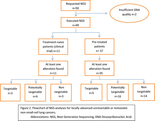 Flowchart of NGS analyses for locally advanced unresectable or metastatic non-small-cell lung cancers.