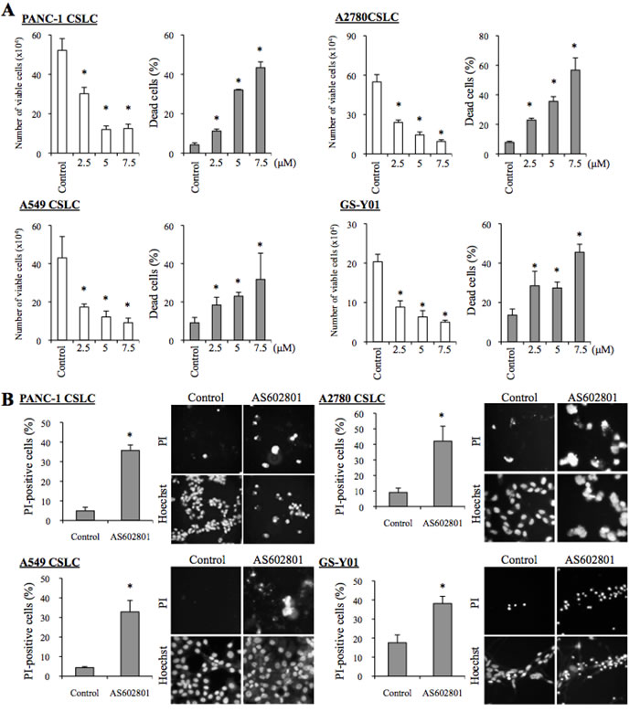 AS602801 has cytotoxic activity against human cancer stem cells.