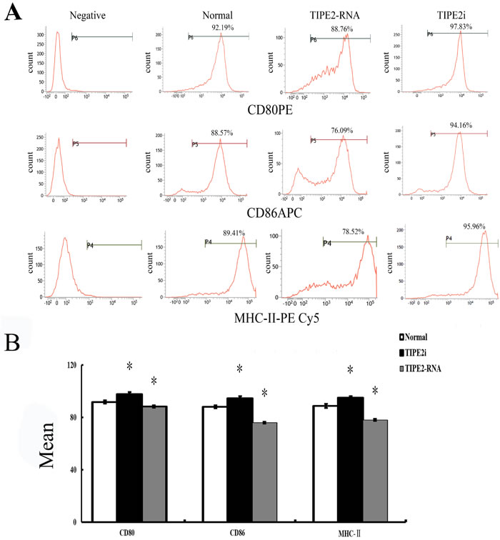 Changes in phenotype and percentage of DCs (