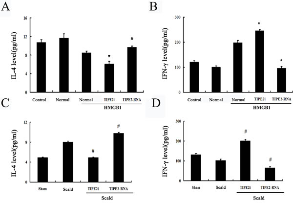 Effect of TIPE2 on the T-cell differentiation induced by DCs (