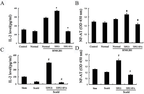 Effects of TIPE2 on IL-2 expression and intranuclear NF-AT activation in DCs in coculture experiments (