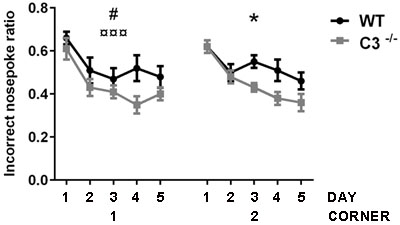 Functional effects of IR in the absence of C3.