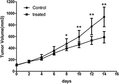 Endostar treatment inhibits growth of CNE-2 tumors.