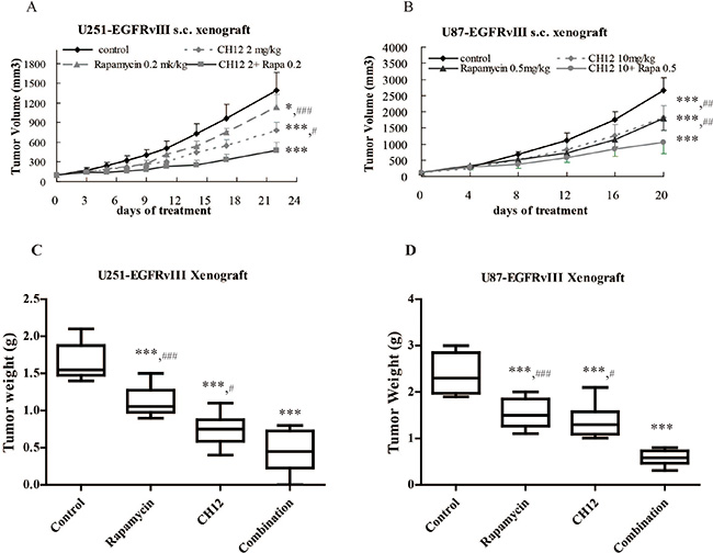 Combination of CH12 with rapamycin synergistically inhibited the growth of EGFRvIII+PTEN&#x2013; glioblastoma xenografts.
