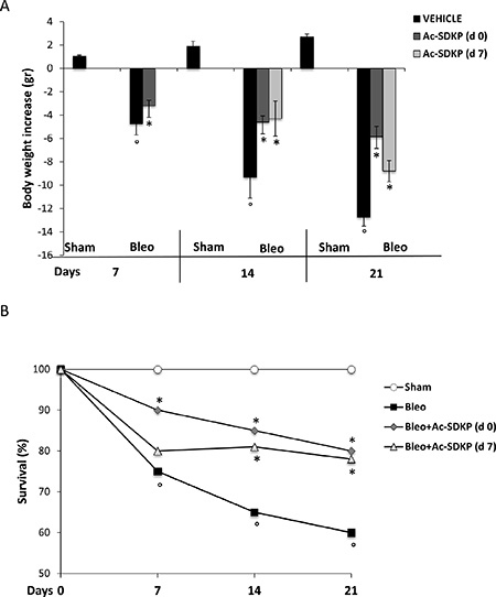 Protective effects of Ac-SDKP treatment on BLEO-induced mortality and weight loss.