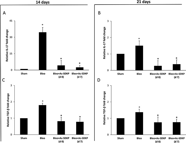 Ac-SDKP treatment suppressed BLEO-induced over-expression of IL-17 and TGF-&#x03B2; mRNA in mouse lung tissue.