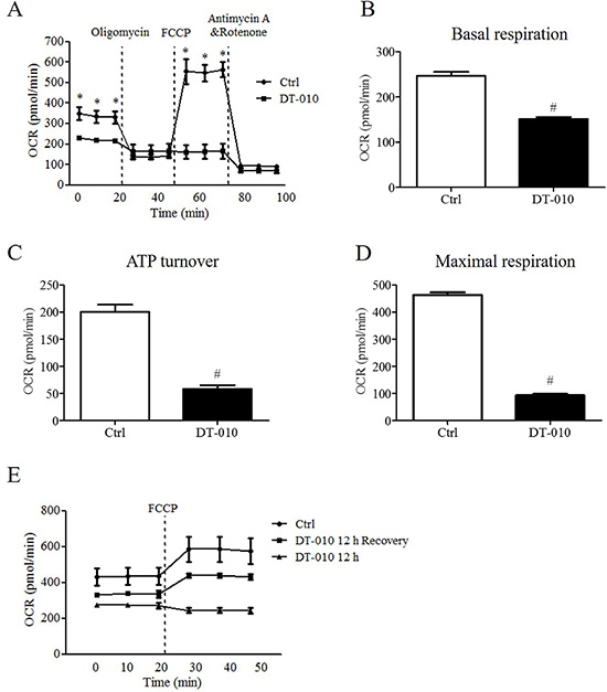 DT-010 inhibited mitochondrial respiration in breast cancer cells.