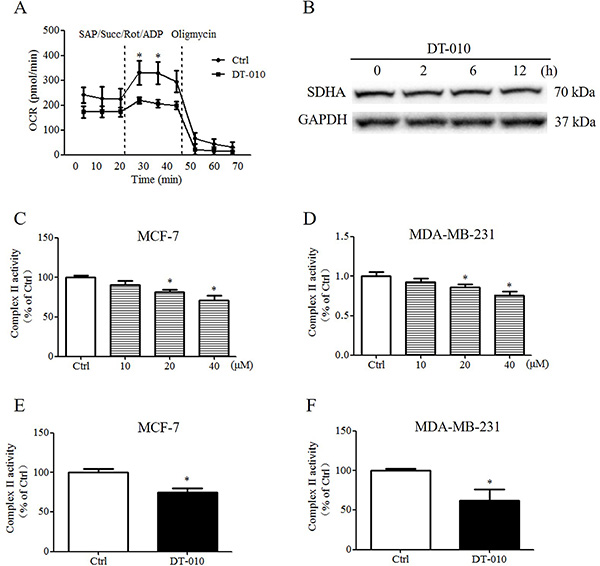 DT-010 inhibited the activity of mitochondrial complex II in breast cancer cells.