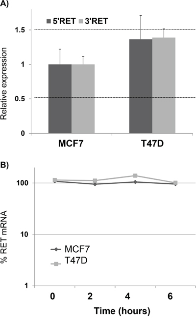 RET over-expression in MCF7 is due to transcriptional mechanisms.