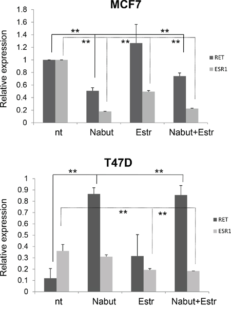 Combined effect of HDAC inhibitors and estrogens.