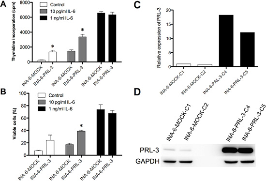 PRL-3 renders INA-6 cells less dependent on IL-6.