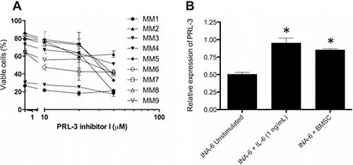 PRL-3 inhibition reduces survival in patient samples, and BMSC from myeloma patients induces PRL-3 expression.