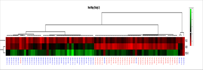 Cluster analysis of the miRNA differentially expressed between lung cancer (red) and control plasma samples (blue).