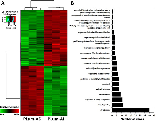 Microarray analysis of the differentially expressed genes between PLum-AD and PLum-AI cells.