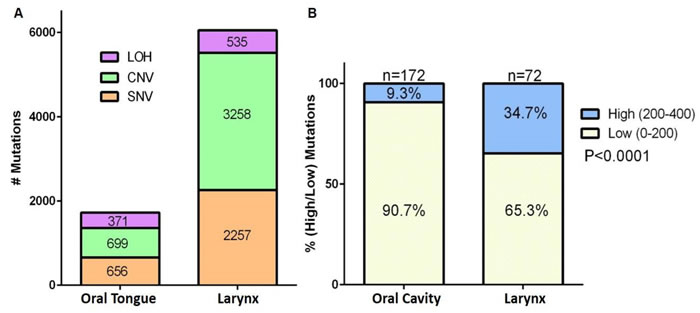 Affymetrix SNP 6.0 array and TCGA data analysis demonstrate that oral cavity tumors have fewer mutations than larynx tumors.