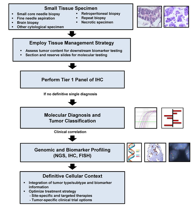 Proposed tissue-based diagnostic algorithm.