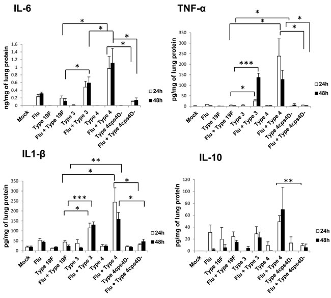 Secondary infection with virulent pneumococci induces augmented levels of pro-inflammatory cytokines in lungs.