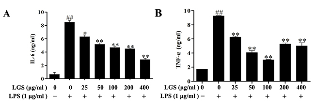 LGS attenuates the production of IL-6 and TNF-&#x3b1; in LPS-stimulated RAW 264.7 cells.