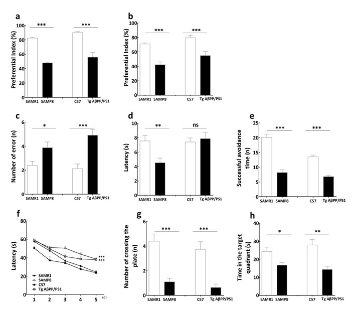 The behavior of learning and memory in SAMP8 mice and PrP-hA&#x3b2;PPswe/PS1
