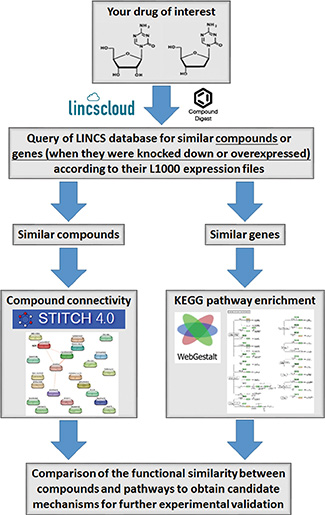 Workflow for the integrated chemical genomics approach.