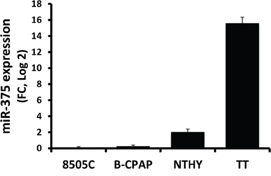 Semi quantitative real-time PCR of miR-375 in thyroid cell lines.