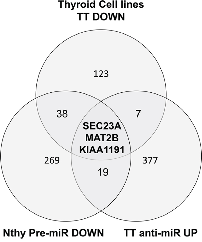 A Venn diagram of the genes passing the cut off filters of 3 independent approaches.