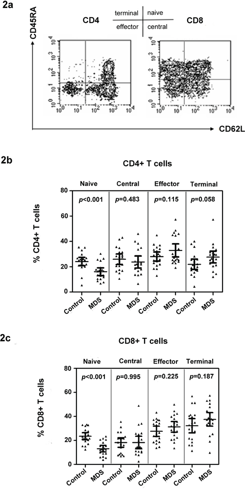 Na&#x00EF;ve T cell subset defects in CD4+ and CD8+ T cells in MDS.