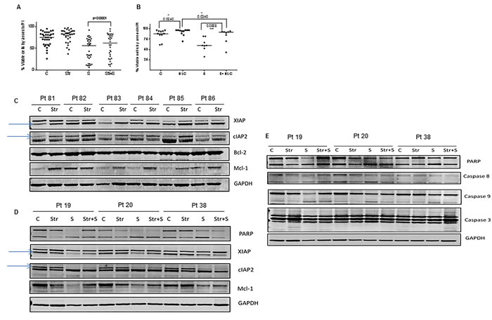 Effect of bone marrow and lymph node microenvironments on smac066-driven apoptosis.
