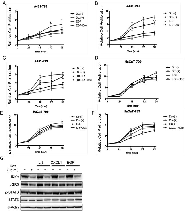 Inflammatory factors activated STAT3 signaling pathway that was controlled by IKK&#x3b1;.
