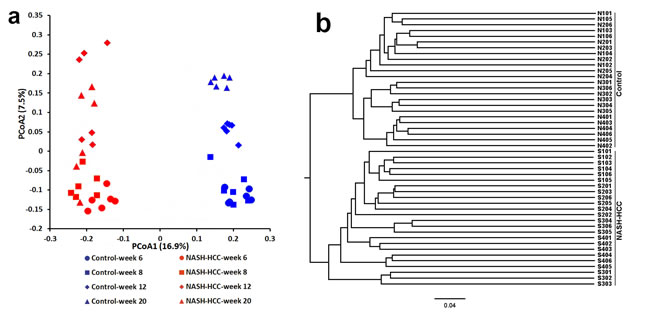 The overall gut microbiota structure change and taxonomic and functional variations in the mouse gut microbiota.