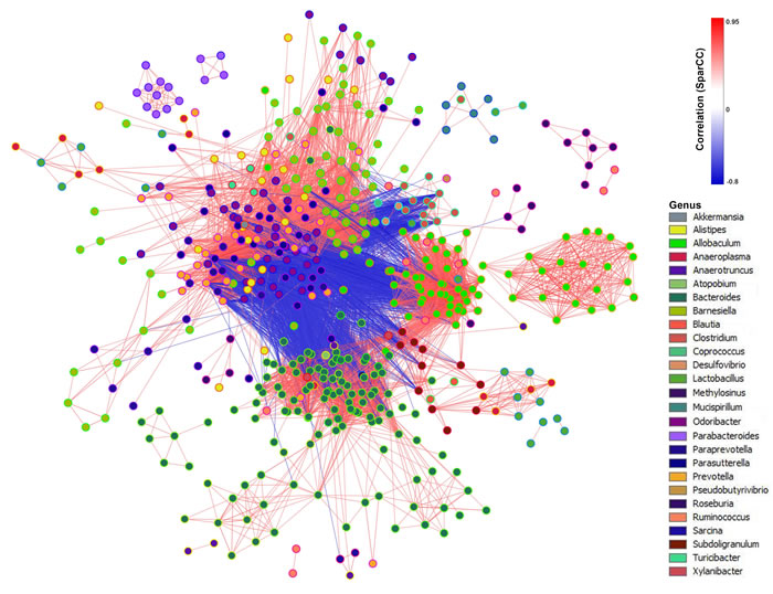SparCC network plot of co-abundance and co-exclusion correlations between OTUs.