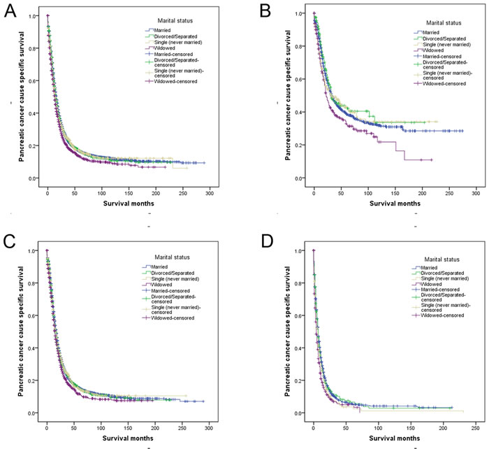 Figure 1 Survival curves in gastric patients according to marital status.