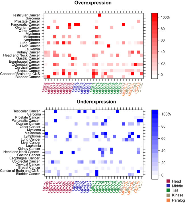 Transcriptional landscape of the Mediator complex in human cancers.