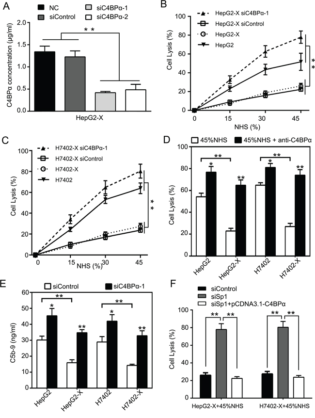 Down-regulation of C4BP&alpha; increases the sensitivity of hepatoma cells to CDC.