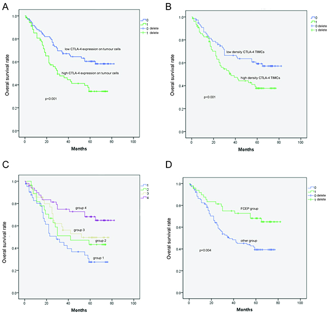 Kaplan–Meier survival curves showing the correlation between CTLA-4 expression and prognosis.