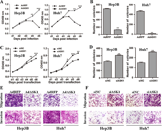 ASK1 represses the malignant properties of HCC cells in vitro.