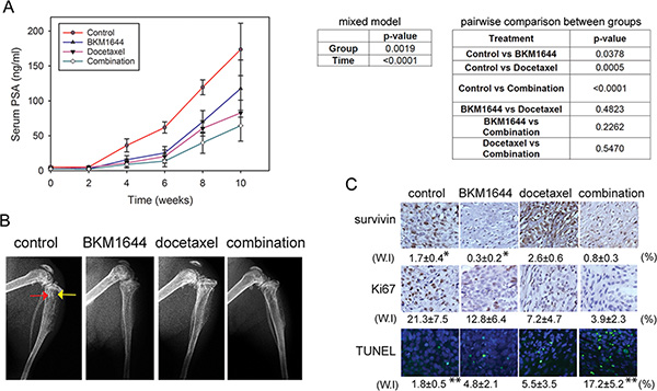 BKM1644 inhibits C4-2 tumor growth in mouse skeletons and enhances the in vivo efficacy of docetaxel.