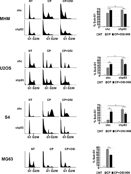 IGF-1R inhibition increases p53 dependent apoptosis and p53 knockdown decreases apoptosis.