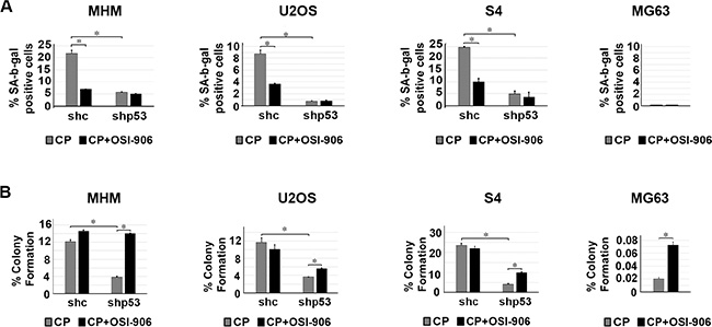 p53 and IGF-1R/AKT activation promotes senescence in CP treated cells and IGF-1R inhibition increases long term survival in cells that lack p53.