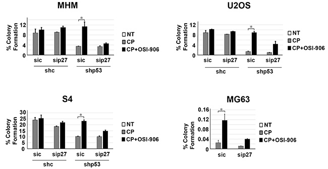 Maintaining p27 levels contributes to increased long term survival in p53 knockdown/null cells treated with CP plus OSI-906.