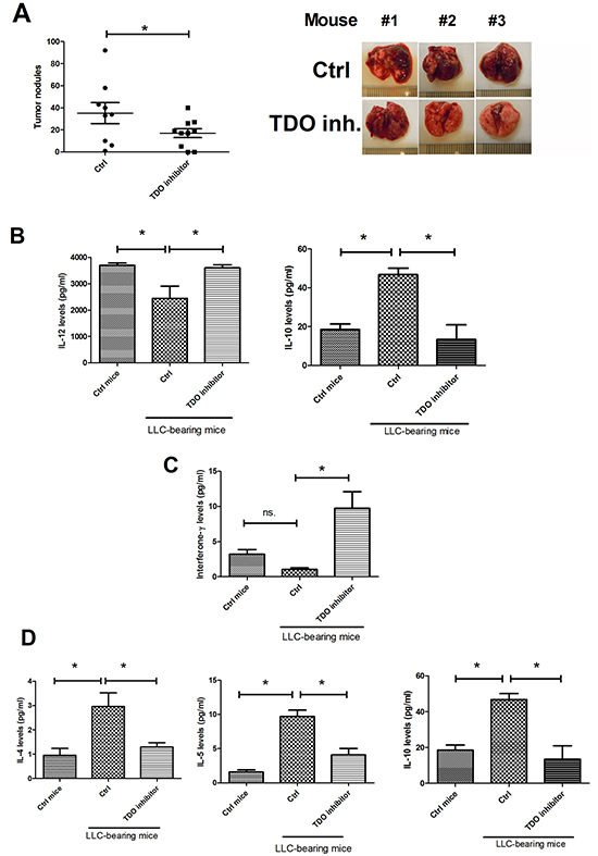 TDO inhibitor decreased cancer metastasis and improved anticancer-immunity in vivo.