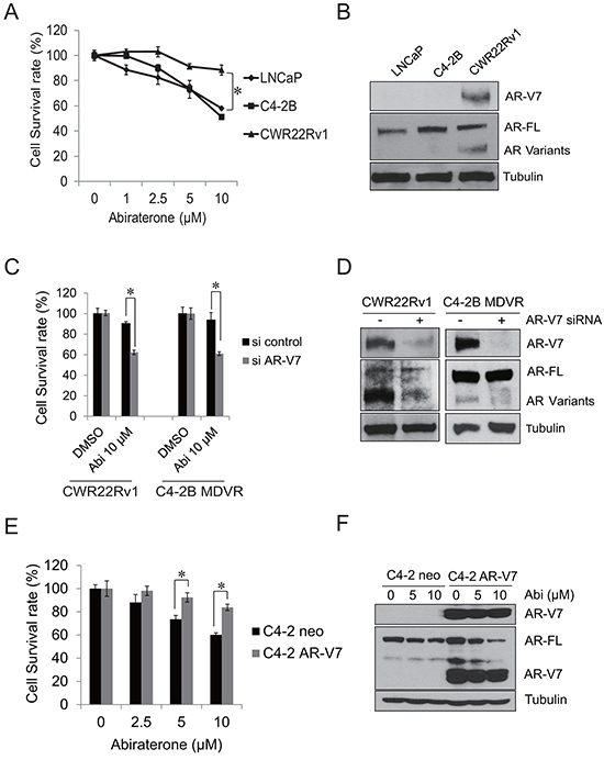 AR-V7 confers abiraterone resistance in prostate cancer.