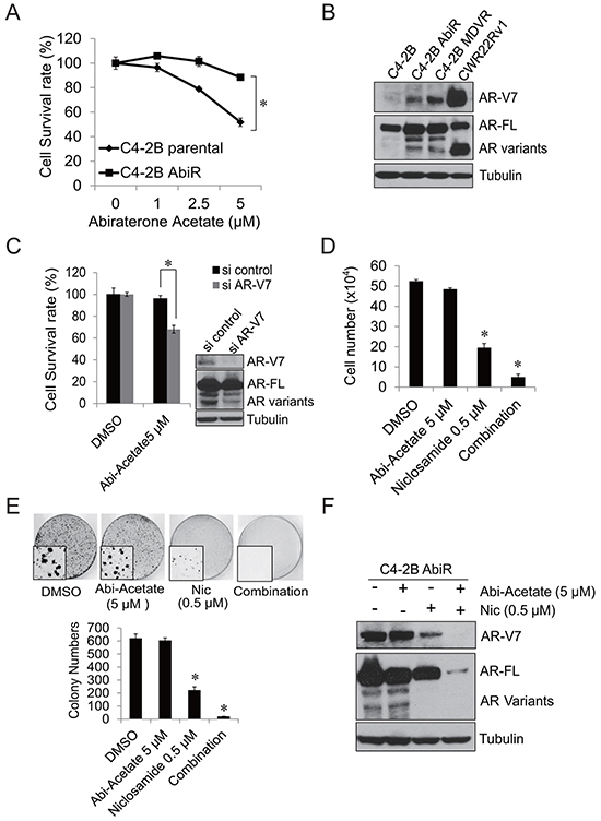 C4-2B cells chronically treated with abiraterone acetate express AR-V7.
