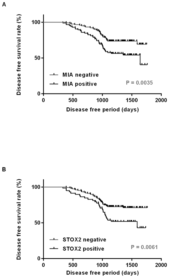 Disease free survival curve in OSCC cases.
