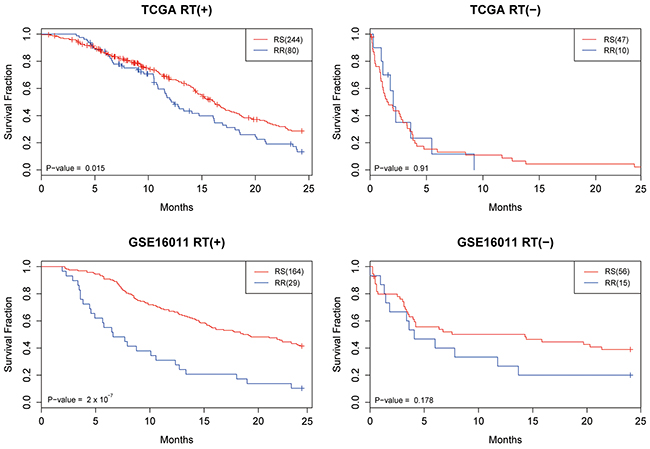 The Kaplan-Meier survival curves for the TCGA and GSE16011 datasets.